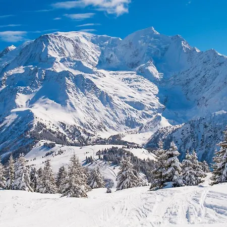 Albert 1er Appartement Les Houches