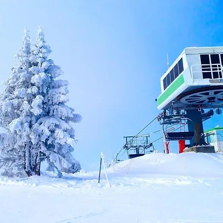 Albert 1er * Les Houches